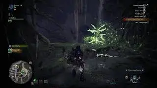 neverwinter fighter