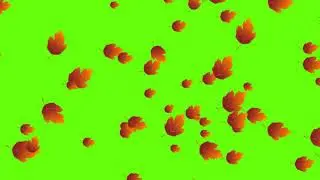 Green Screen Leaf Free