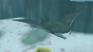 Zoo Tycoon 2 Marine Mania Campaign - Marine Animals - The Ocean's Biomes