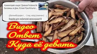 НАЛОВИЛ МЕЛКОСРАНИ И СДЕЛАЛ ШПРОТЫ