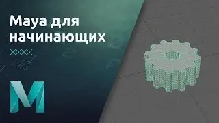 Мини-курс «Maya для начинающих». Урок 2 Примитивы и основы моделирования  Теория