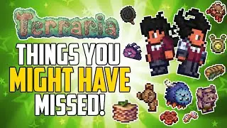 Terraria 1.4.3 EVERYTHING You Might have MISSED!