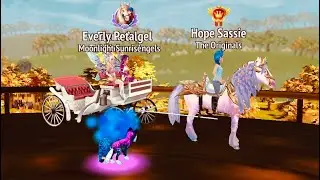 New Horse Reveal?! Cart Rides with Hope and Everly | Elena Angel