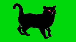Cartoon Cat Green Screen Background effects Free Animation 2020