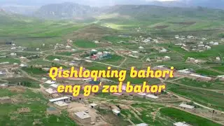 Begzod Hamrodan juda ajoyib sher (Qishloqning bahori) 