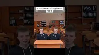 Вот такова судьба двух лучших друзей 