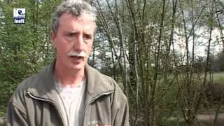 Steenmarter zorgt voor overlast.