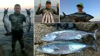 Секреты охоты на пеламиду с Алексеем Дудченко (Arsi)