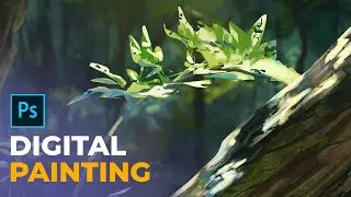 Stylized Digital Painting | Photoshop Landscape Speedpaint | Forest Painting