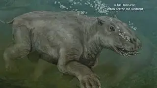 Кабагон
