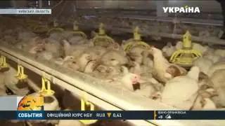 Украина Государственное регулирование цен на продовольствие