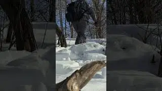 Погода радует 🌞🌞 щучка клюёт ✅️🚀 