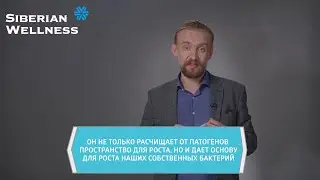 🥛 Лактоферрин (Lactoferrin) / Дмитрий Алексеев PRO ❄ Siberian Wellness / Сибирское Здоровье
