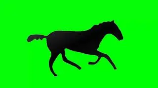 HORSE GALLOPING GREEN SCREEN