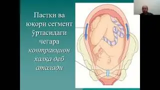 Нормал тугрук  тугрукни олиб бориш принциплари  Хомила чаноги билан келиши