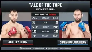 Bellator 269 Анатолий ТОКОВ – Шараф ДАВЛАТМУРОДОВ Обзор на Бой ТОКОВ - ДАВЛАТМУРОДОВ | Беллатор 269