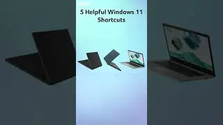 5 Helpful 