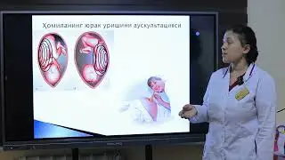 Partogramma. Tug’ruq davrlari. Tug’ruq biomexanizmi.