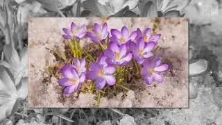 Сезонные явления в природе