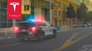 TESLA OWNER HUNTS DOWN CAR THIEF IN SAN FRANCISCO