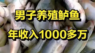 男子发现养殖鲈鱼的商机，年收入1000多万元！