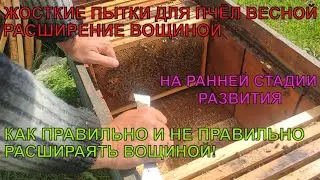 Не делай так УГРОБИШЬ ПЧЕЛИНУЮ СЕМЬЮ как РАСШИРЯТЬ ВОЩИНОЙ можно ли ранней весной ГРУБАЯ ОШИБКА 🐝🐝🐝