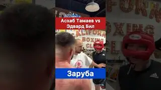 Асхаб Тамаев vs Эдвард Бил устроили бой в ринге.