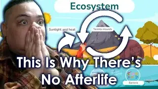 THIS Is Why There's NO AFTERLIFE!