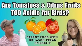 Are Tomatoes & Citrus Fruits TOO Acidic for Birds? | Parrot Food with Dr Jason Crean Episode 2