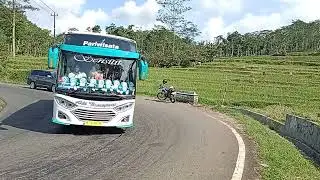Jalan Menuju Puncak Dieng Via Gunung Sindoro Sumbing❤️Cintabela Ayu Channel❤️