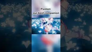 Paimon our best companion| Genshin Impact