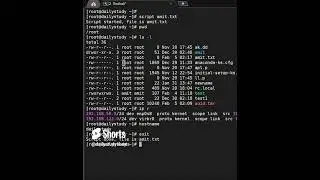 How to record every thing on Linux server screen   Linux screen recording