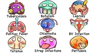 Every DEADLIEST Infection Explained in 12 Minutes
