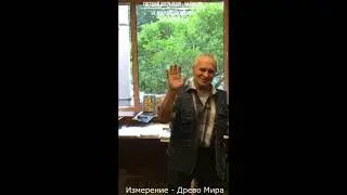 Найон.   Измерение  Древо Мира