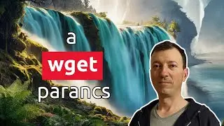 A wget parancs használata