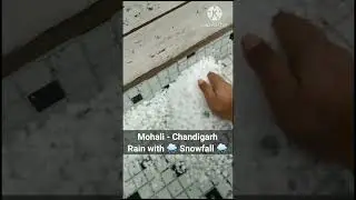 Mohali, Chandigarh Rain with Snowfall #mohali #snowfall #shortsfeed #shortsyoutube #youtubeshorts