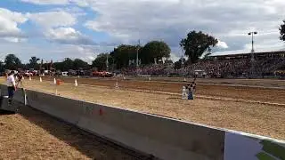 Truck & Tractorpulling Lochem 06-08-2022 6