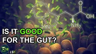 Tryptophan And Inflammation With Age | Lifespan News Extra