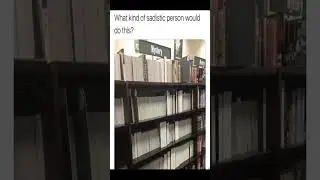 Random Funny Memes 137