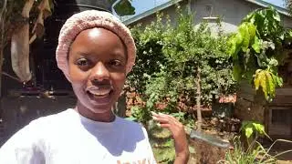 African Girl Slaughtering Chicken for the first time / How to cook Kienyeji Chicken/