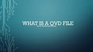 55 What is a QVD file