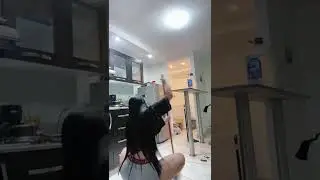 bigo live/routine/rotina/no panties/panty/👉ESCREVA-SE👈