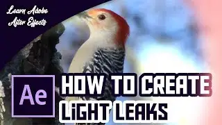 How to Make Light Leaks in After Effects | No Third Party Plugin