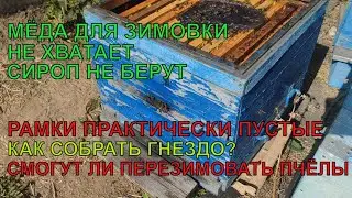 БЕДА на пасеке НЕ ХВАТАЕТ МЁДА ДЛЯ ЗИМОВКИ рамки практически пустые СИРОП НЕ БЕРУТ ЧТО ДЕЛАТЬ ✅☝️🐝