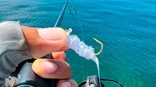 One of the Best Jigs to Use For Spanish Mackerel