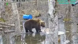 01.04.2023     