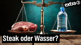 Globale Wasserkrise: Durstige Kühe und trockene Wüsten | extra 3 | NDR