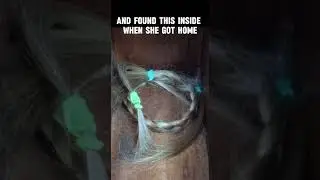 Scary Things In Photos P#4 