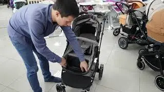 Детская коляска-трансформер Babyhit Winger 2 в 1