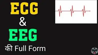 Full Form of ECG || Full Form of EEG || Online Career Advice